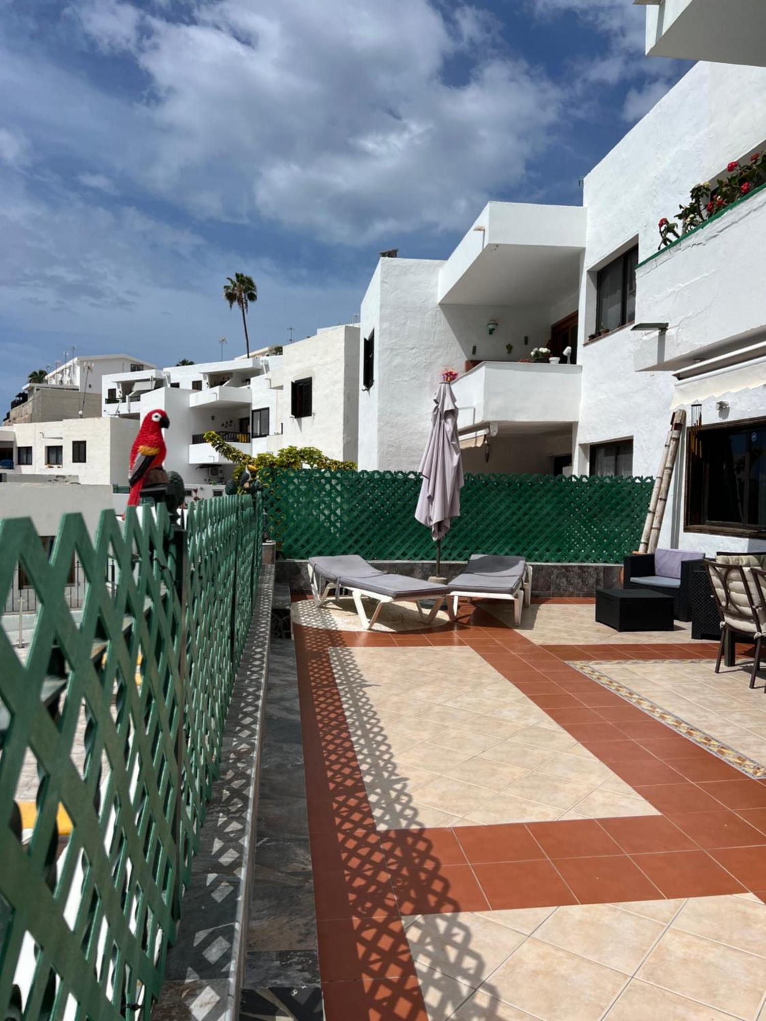 Lovely Apartment 2 Rooms With Big Terrace In Puerto Rico Пуерто Рико Екстериор снимка